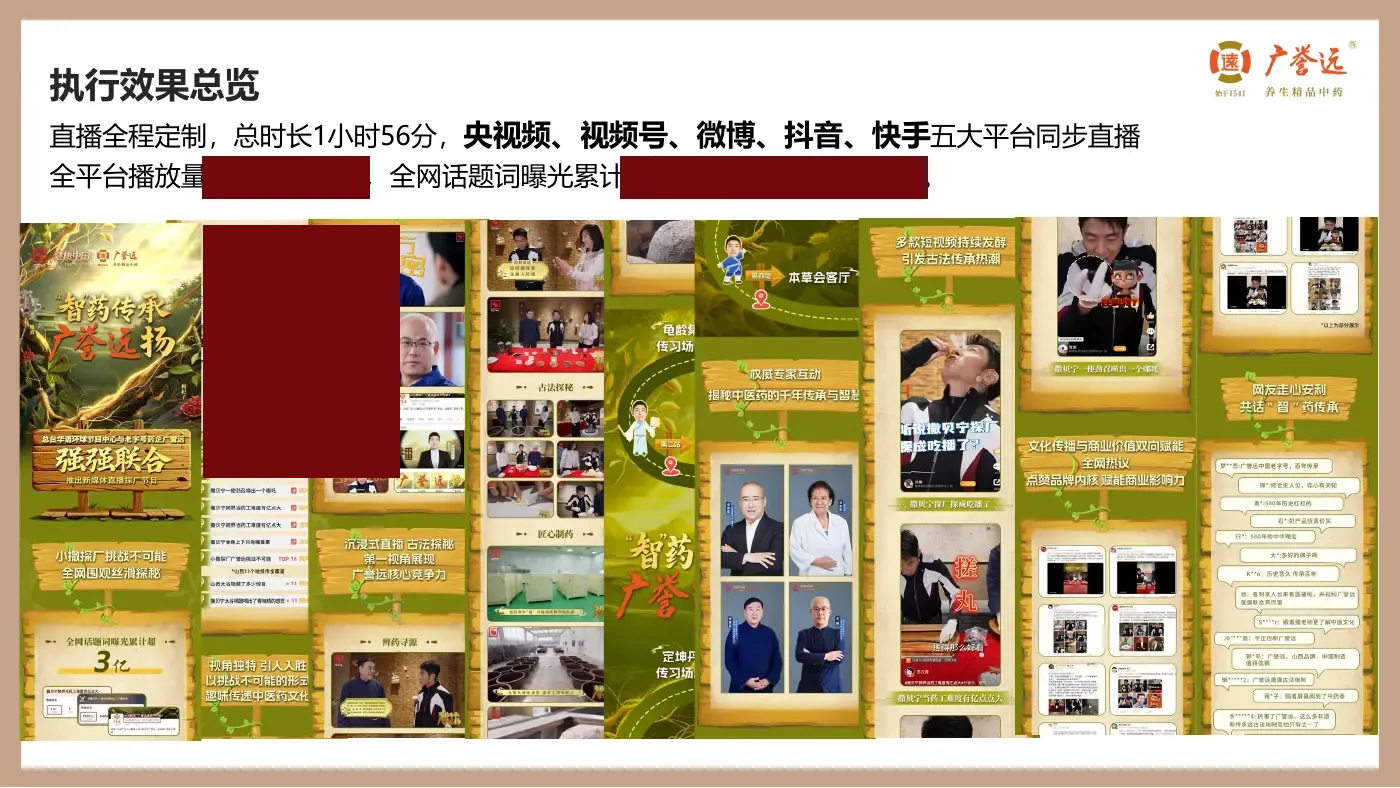 整合传播效果复盘：执行效果总览